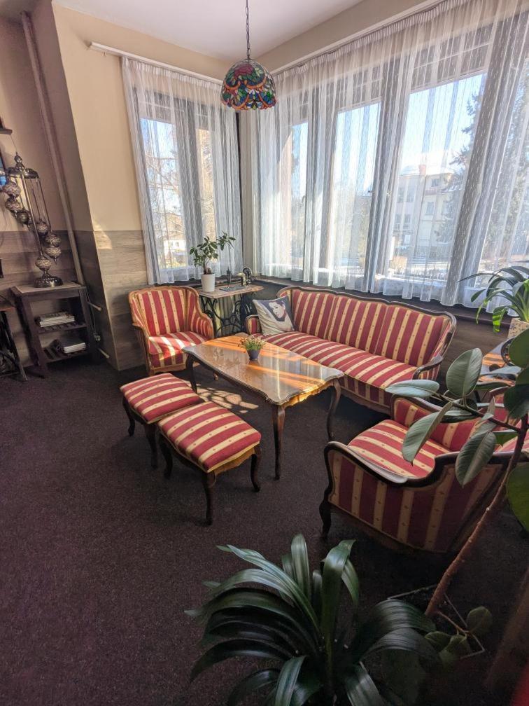阿尔法酒店 特鲁特诺夫 外观 照片